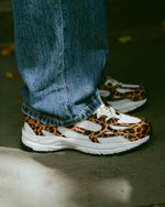 The Re-Run leopard